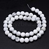 Round Natural Howlite Bead Strands LS-G-F222-14-6mm-3