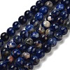 Natural South Africa Sodalite Beads Strands G-S259-35-8mm-4