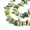 Natural Serpentine Beads Strands G-T140-62-3