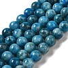 Natural Apatite Beads Strands G-S150-18-8mm-2