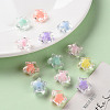 Transparent Acrylic Beads LS-X-TACR-S152-02A-6