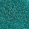 FGB 8/0 Grade A Round Glass Seed Beads SEED-Q006-3mm-F20-2