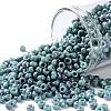 TOHO 8/0 Round Beads SEED-XTR08-1206-1