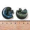 Natural Labradorite Carved Cabochons G-C152-09-3