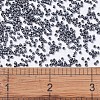 MIYUKI Delica Beads SEED-X0054-DB0306-4