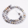 Natural White African Opal Beads Strands G-F563-03-8mm-2