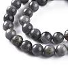 Natural Black Labradorite Beads Strands G-S333-8mm-021B-3