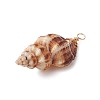 Natural Spiral Shell Pendants PALLOY-JF02950-4