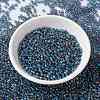 MIYUKI Round Rocailles Beads X-SEED-G008-RR0249-2