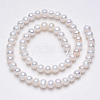 Grade AA Natural Cultured Freshwater Pearl Beads Strands PEAR-L001-G-07-2