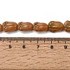 Painted Glass Beads Strands GLAA-Z021-16C-4