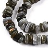 Natural Labradorite Beads Strands G-T141-09-4