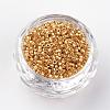 Plated Glass Bugle Beads SEED-R043-09-2