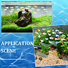 70Pcs 7 Colors Luminous Transparent Resin Shark Ornaments DJEW-SC0001-23-6