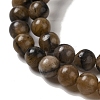 Natural Chiastolite Beads Strands G-Q161-A03-02-4