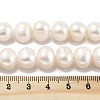 Natural Cultured Freshwater Pearl Beads Strands PEAR-C003-22A-5