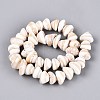 Natural Sea Shell Beads Strands SHEL-Q028-02-2
