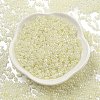 Ceylon Glass Seed Beads SEED-K009-02B-38-2