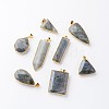 Mixed Shapes Natural Labradorite Pendants G-M294-M-1