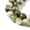 Baking Paint Glass Bead Strands X-GLAA-H031-01B-14-4