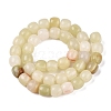 Dyed Natural White Jade Beads Strands G-T138-210B-2