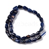 Natural Sodalite Beads Strands G-C080-B05-01A-5