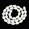 Natural Trochid Shell/Trochus Shell Beads Strands SSHEL-N034-135B-01-2