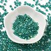 Glass Seed Beads SEED-H002-A-A617-2