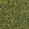 MIYUKI Delica Beads SEED-MY11-DB2377-3