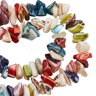 187Pcs Nuggets Chips Natural Shell Beads BSHE-SC0001-15-1