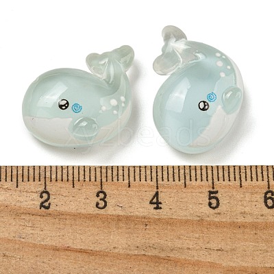 Ice Ocean Theme Opaque Resin Cabochons CRES-D040-02A-1