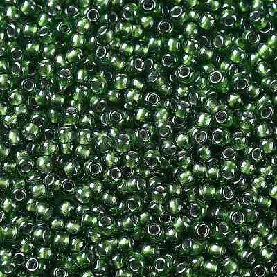 TOHO 11/0 Round Beads X-SEED-TR11-1006-1
