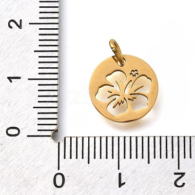 304 Stainless Steel Charms LS-STAS-Z119-14G-1