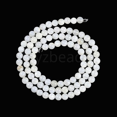 Natural Cultured Freshwater Shell Beads Strands BSHE-H109-03B-1