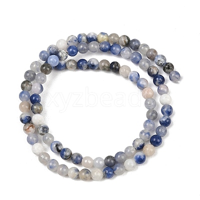 Natural Sodalite Beads Strands GSR4mmC013-1