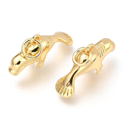 Brass Pendants KK-Z014-01G-1