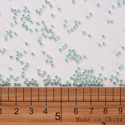 11/0 FGB Grade A Ceylon Glass Seed Beads X-SEED-N001-B-0487-1