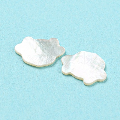 Natural Sea Shell Cabochons SHEL-D079-15-1