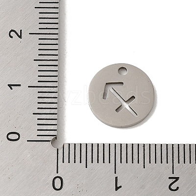 Non-Tarnish 201 Stainless Steel Charms STAS-E217-10P-12-1