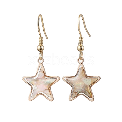 Natural Paua Shell Dangle Earrings EJEW-JE06274-07-1
