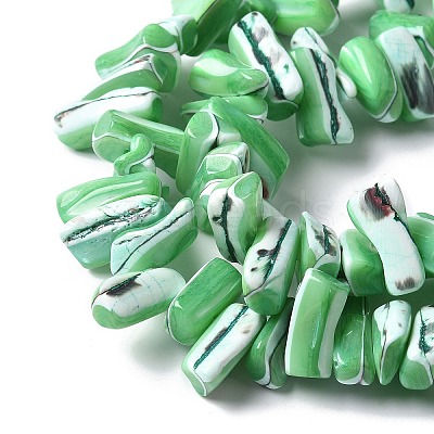 Dyed Natural Trochus Shell Beads Strands SSHEL-C013-09H-1
