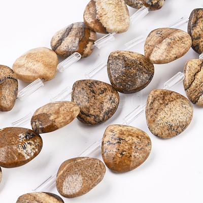 Natural Picture Jasper Beads Strands G-G821-04A-1