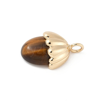 Natural Tiger Eye Pendants X-KK-Z107-02G-02-1