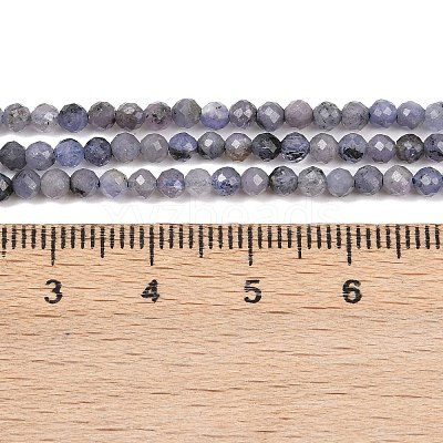 Natural Tanzanite Beads Strands G-C255-A01-3mm-1