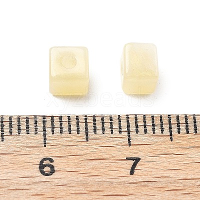 Transparent Acrylic Beads OACR-H044-04A-01-1