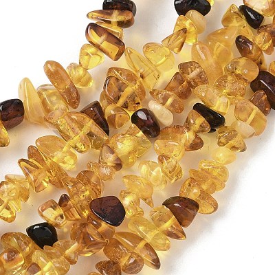 Natural Amber Beads Strands G-L095-D01-04-1