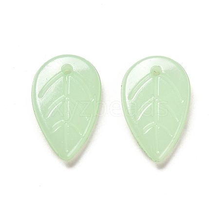 Translucent Acrylic Pendants LS-OACR-Z016-10A-1