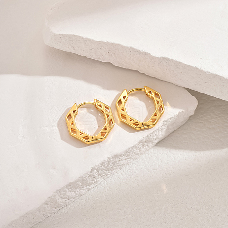 Classic Fashionable Brass Hoop Earrings for Women PJ2124-1-1