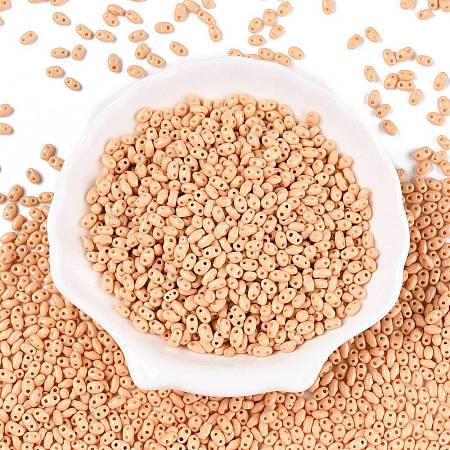 Baking Paint Glass Seed Beads SEED-T006-03E-1