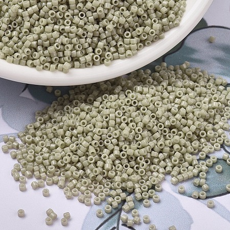 MIYUKI Delica Beads SEED-J020-DB2363-1